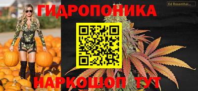 apvp Ачхой-Мартан