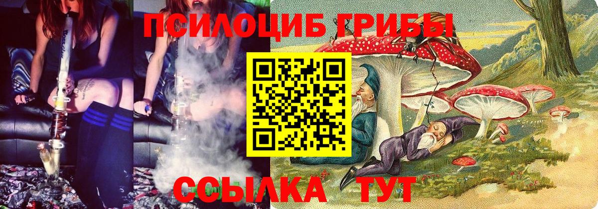 Карпинск  магазин    Вход с VPN  Галлюциногенные грибы прущие грибы 